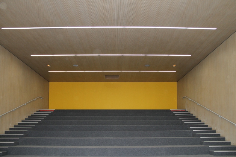 Intégration des panneaux acoustiques et décoratifs Metrowall Acoustic Lines 15 sur les murs et plafonds de l'Institut Vallon, France
