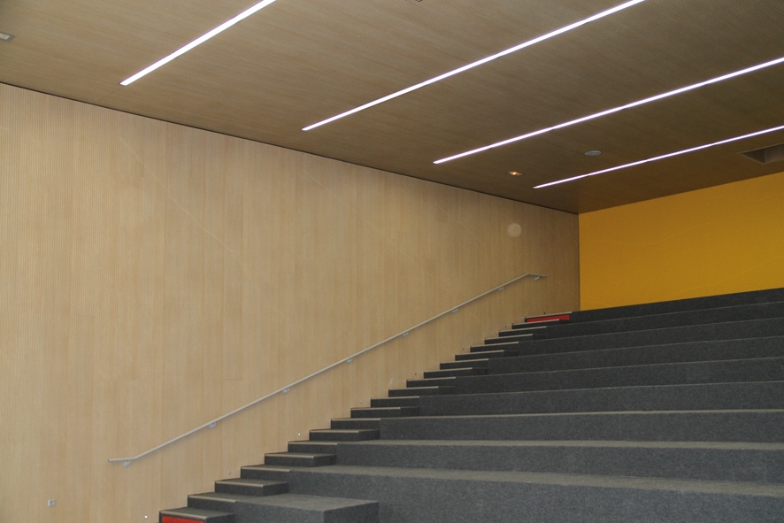 Metrowall acoustic and decorative wood panels installed at the Valllon Institute in Toulouse, France